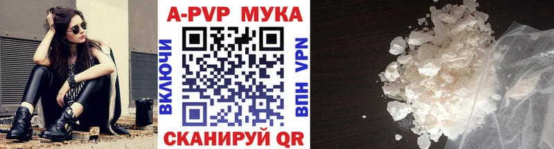 A PVP СК Новая Ладога