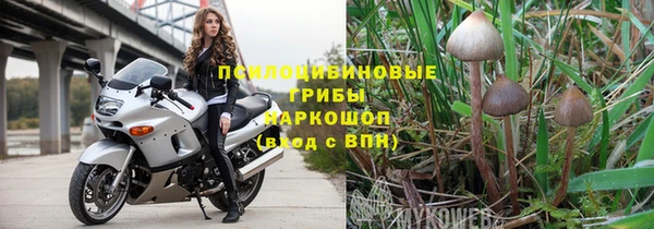 ГАЛЛЮЦИНОГЕННЫЕ ГРИБЫ Алексин