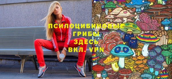 прущий лед Алексеевка
