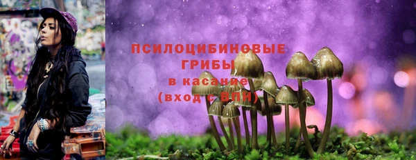 ГАЛЛЮЦИНОГЕННЫЕ ГРИБЫ Алексин