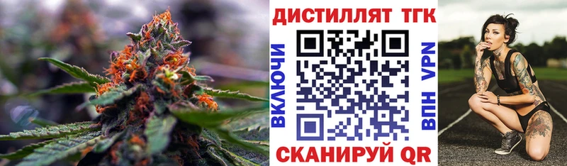 закладка  Новая Ладога  ТГК THC oil 