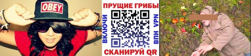 Галлюциногенные грибы GOLDEN TEACHER Новая Ладога